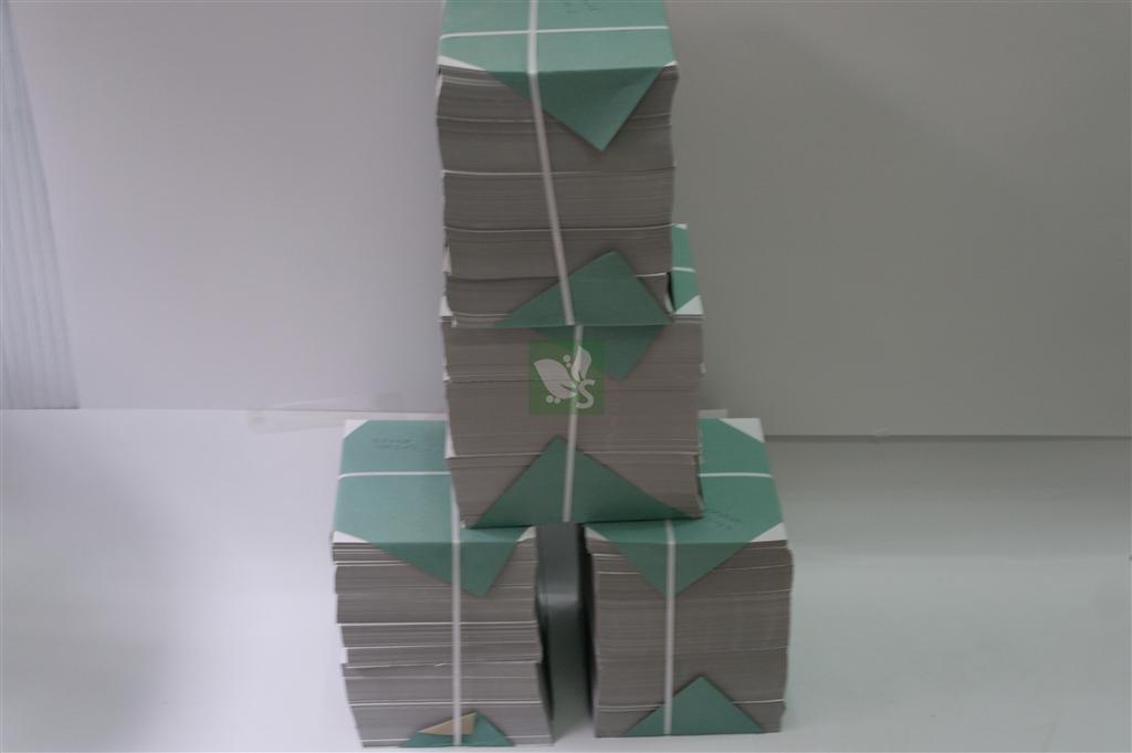 ARA KARTON 20/20 EBAT